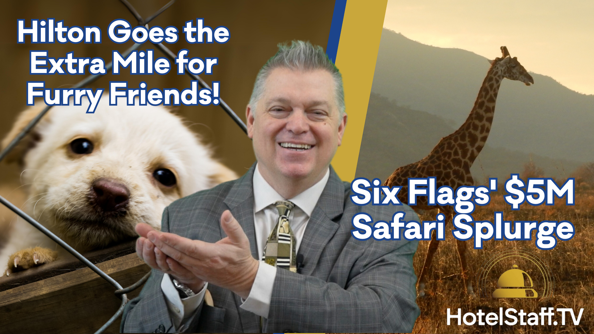 Six Flags' $5M Safari Splurge & Hilton goes the extra mile for furry friends!